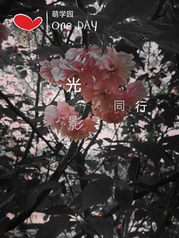萌学园光之星图腾
