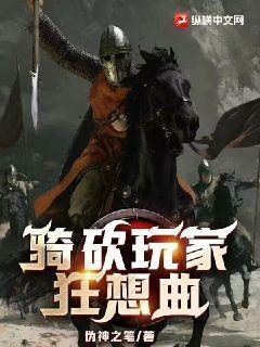骑砍玩家审美