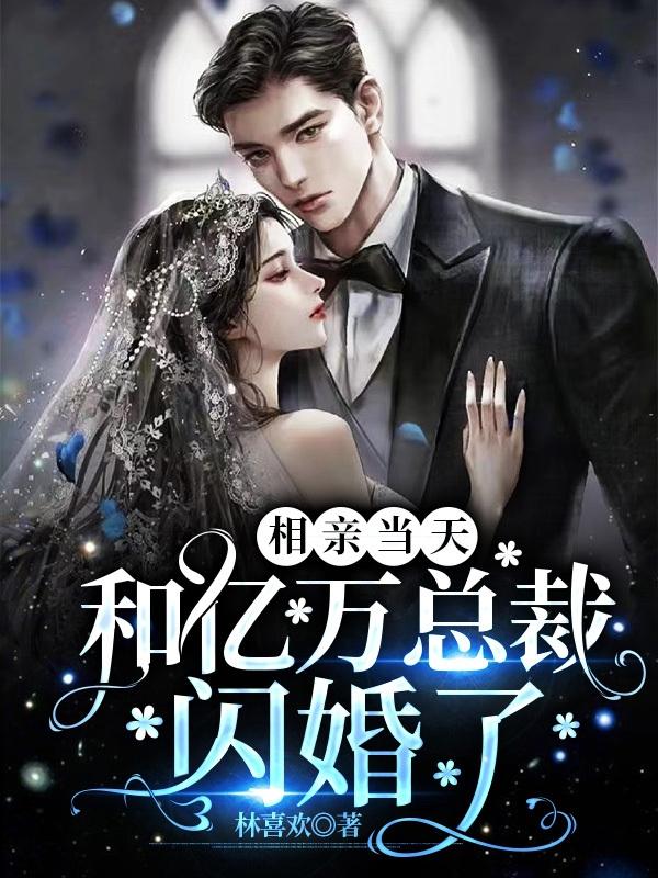 相亲第一天与总裁领证的小说